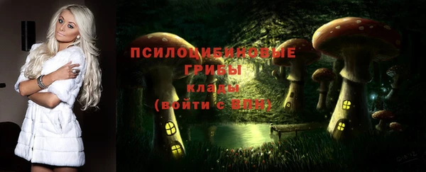 прущая мука Инта