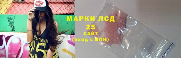 ECSTASY Инсар