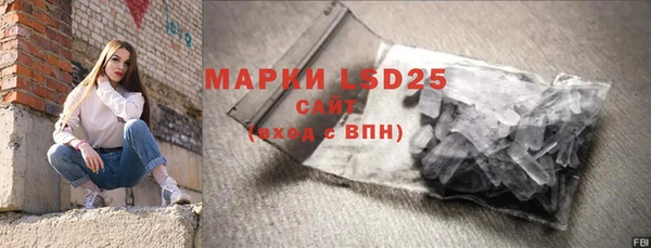 ECSTASY Инсар