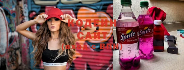 ECSTASY Инсар