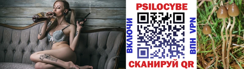Галлюциногенные грибы Magic Shrooms Купить Дудинка
